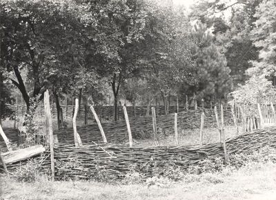 Drenje Šćitarjevsko - Ograda