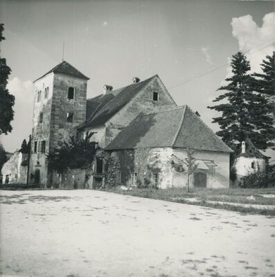 Bela (Novi Marof) - dvor