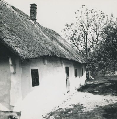 Dubravica - Kuća Pavla Štoosa, krov