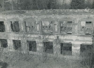 Dvorac Oroslavje Gornje (Oroslavje), detalj ruševine