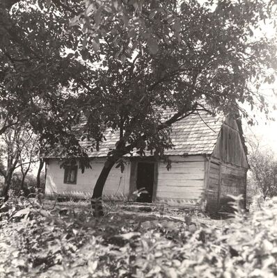 Ribnica - Tradicijske kuća, ulazno i zabatno pročelje