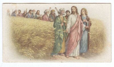 Isus poziva na žetvu