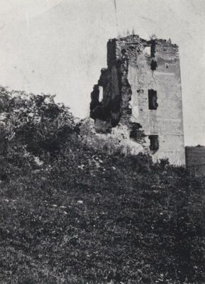 Gotalovec (Budinščina) - Stari grad