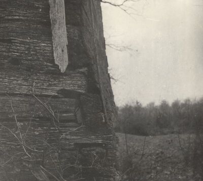 Draganić (Goljak Draganićki) - Kapela sv. Trojstva, detalj