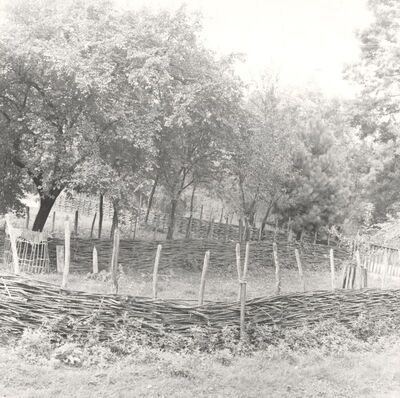 Drenje Šćitarjevsko - Ograda