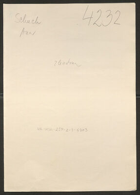 Schuch, Ana rođ. Wachter, 21.1.1891. Policijski karton