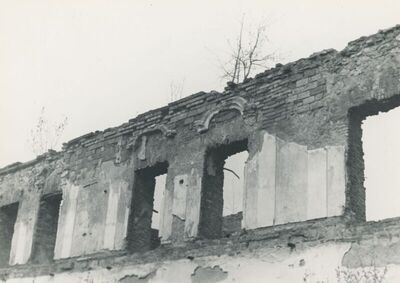 Oroslavje - Dvorac Oroslavje Gornje, vanjština, detalj