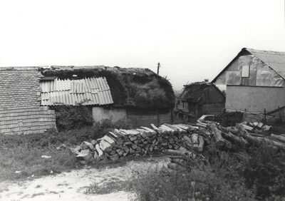 Gornja Vas - Tradicijska kuća, stražnje pročelje