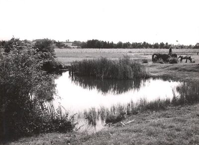 Jakovlje - Dvorac Oršić, ribnjak