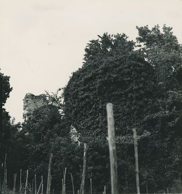 Vinica Breg (Vinica)- ruševine srednjovjekovnog grada