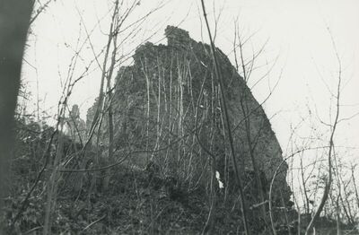 Vojnovec Loborski (Lobor) - Burg, ruševina