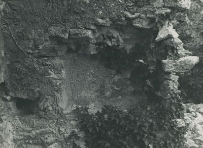 Grtovec (Budinščina) - Stari grad Milengrad, detalj