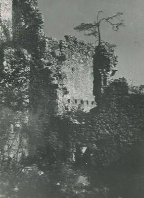 Grtovec (Budinščina) - Stari grad Milengrad, detalj