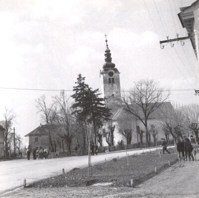 Vrbovec - Crkva sv. Vida, situacija