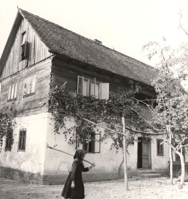 Bukevje - Tradicijska kuća, ulazno i zabatno pročelje