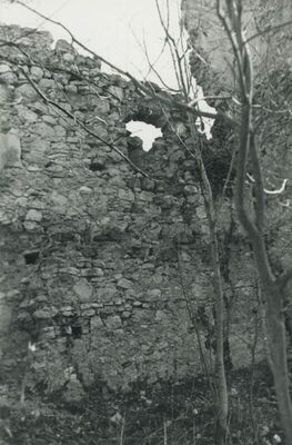 Vojnovec Loborski (Lobor) - Burg, ruševina