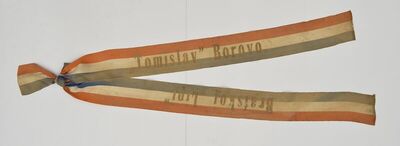 Zastavna vrpca društva 