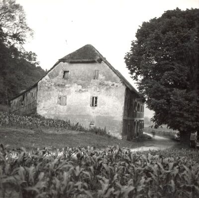 Luka - Kurija, vanjština