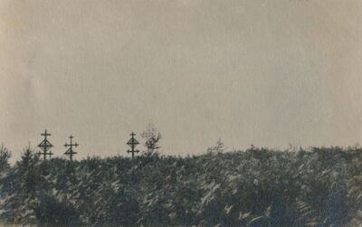 Perjasica (Barilović) - Groblje