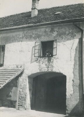 Krapina - Stambeno-gospodarski objekt, detalj