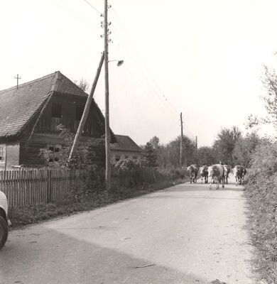 Ruča - Tradicijska kuća, ulično pročelje