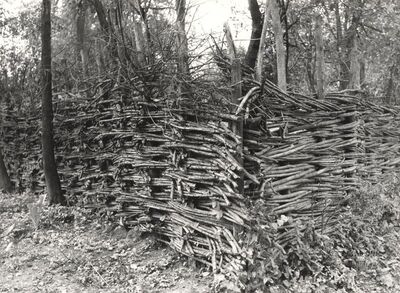 Drenje Šćitarjevsko - Ograda, detalj
