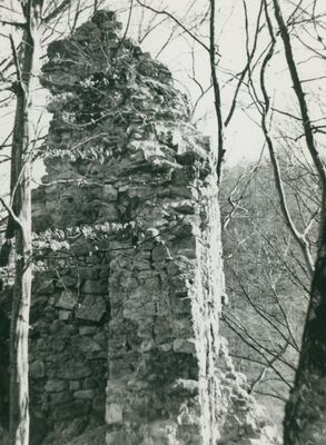 Zelingrad - Stari grad Zelingrad, istočni zid stambene kule