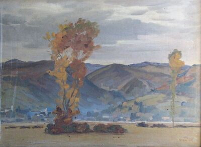 Pogled na Samobor s ravnice