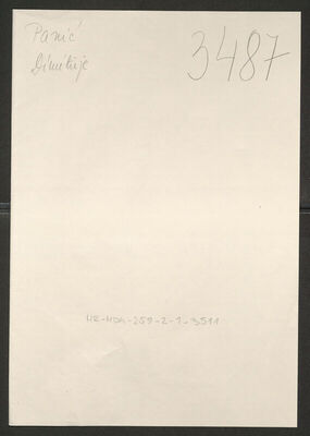 Panić, Dimitrije, 1895. Policijski karton