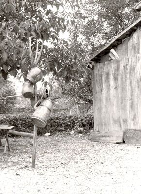 Lukinić Brdo - Rašljasto drvo za sušenje