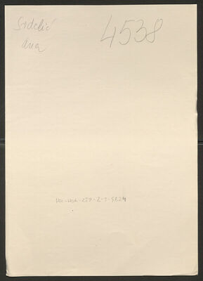 Srdelić, Ana rođ. Šteinberger, 31.12.1908. Policijski karton