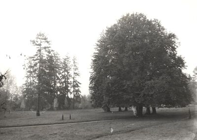 Jastrebarsko - Dvorac Erdődy, detalj parka