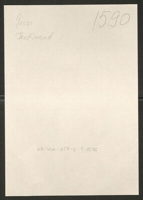 Gross, Ferdinand-Franjo, 23.5.1919. Policijski karton