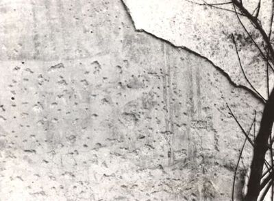 Volavje - Crkva Blažene Djevice Marije Volavske (Sniježne), detalj freske