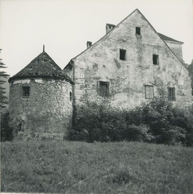 Bela (Novi Marof) - dvor