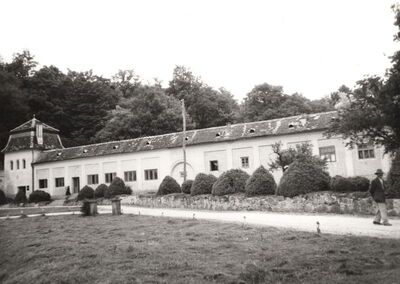 Strmac Pribićki - Kompleks dvora, prizemna zgrada