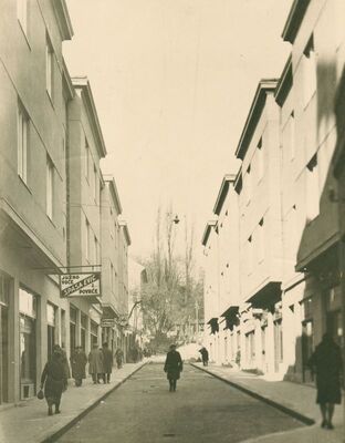 Zagreb - Dežmanov prolaz prema Tuškancu