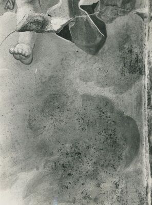 Lepoglava - Bivša pavlinska crkva sv. Marije, detalj svoda s oštećenjima na slikanoj površini