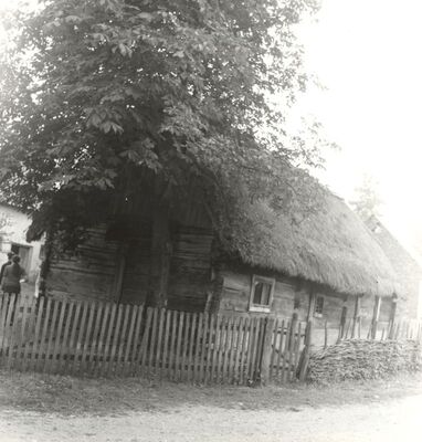 Ščitarjevo - Tradicijska kuća, jugoistočno pročelje
