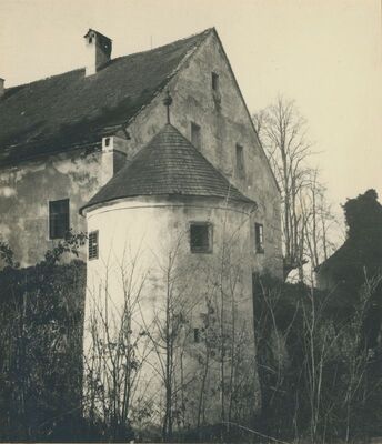 Bela (Novi Marof) - dvor