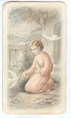 Dijete Isus s golubovima