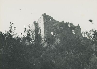 Grtovec (Budinščina) - Stari grad Milengrad