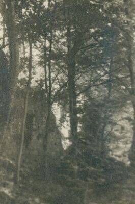 Zelingrad - Stari grad Zelingrad, dio grada