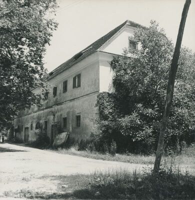 Veliki Bukovec - dvor