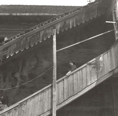 Mraclin - Tradicijska kuća, stepenište