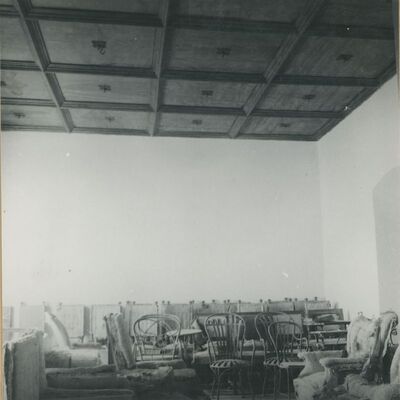 Trakošćan - dvorac, spremište namještaja, drveni strop