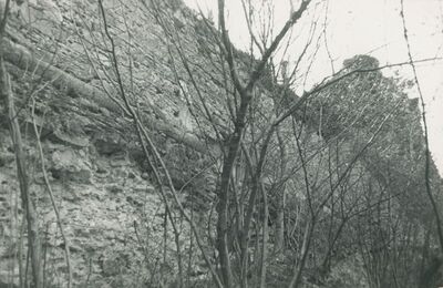 Vinica Breg (Vinica) - ruševine srednjovjekovnog grada