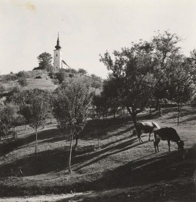 Donja Pušća - Kapela Majke Božje Čiselske, zvonik