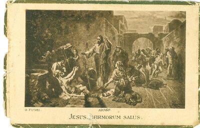 Isus iscjeljuje bolesne prema slici Gebharda Fugela