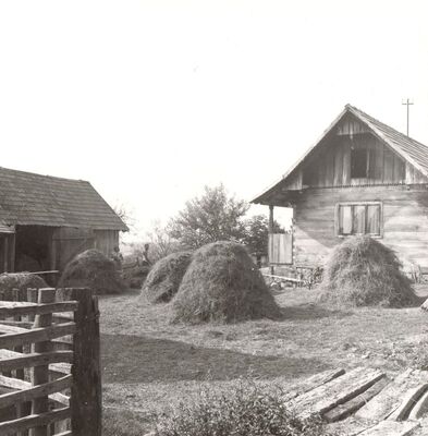 Lijevi Štefanki - Gospodarsko dvorište, situacija